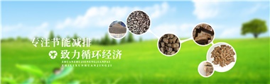 倪維斗院士：通過技術(shù)創(chuàng)新，大力發(fā)展超級(jí)能源生物質(zhì)燃料
